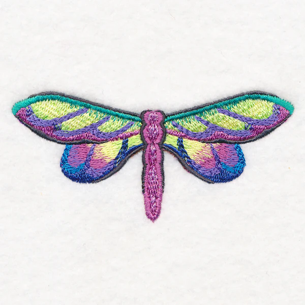 Rainbow Dragonfly