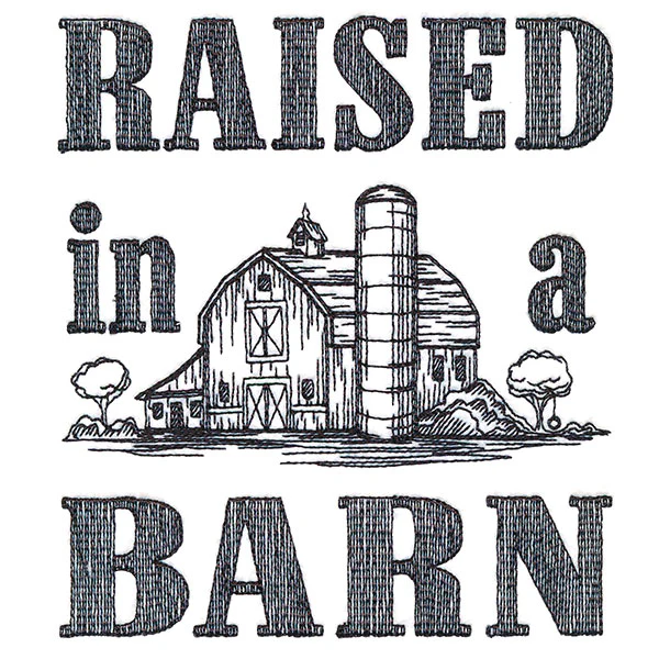 Raised In A Barn - Image 3