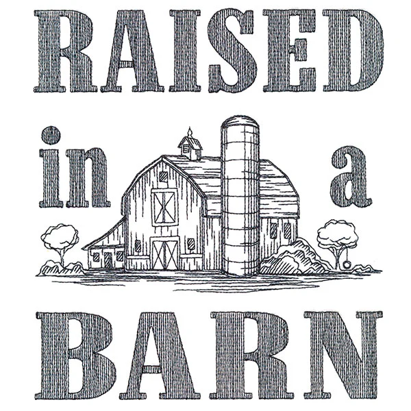 Raised In A Barn - Image 4