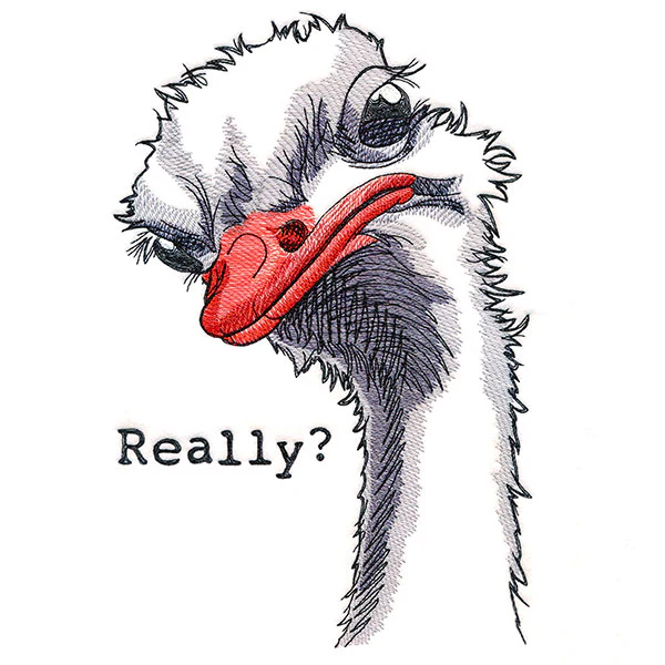 Really? Ostrich - Image 4