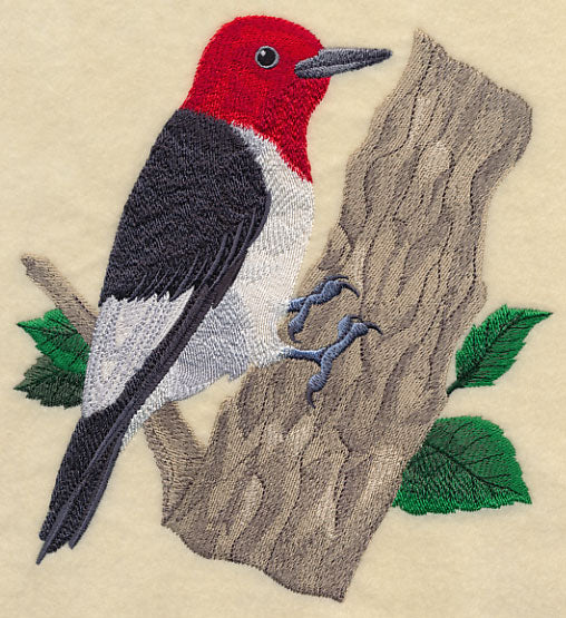 Red-headed Woodpecker - Image 2