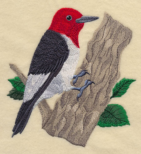 Red-headed Woodpecker - Image 3
