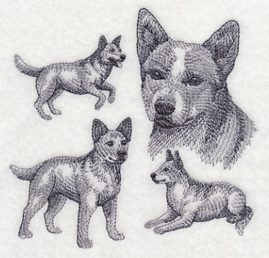 Red Heeler Sketch - Image 4