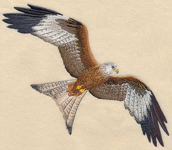 Red Kite Flying - Image 2