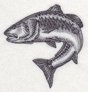 Redfish Sketch - Image 3