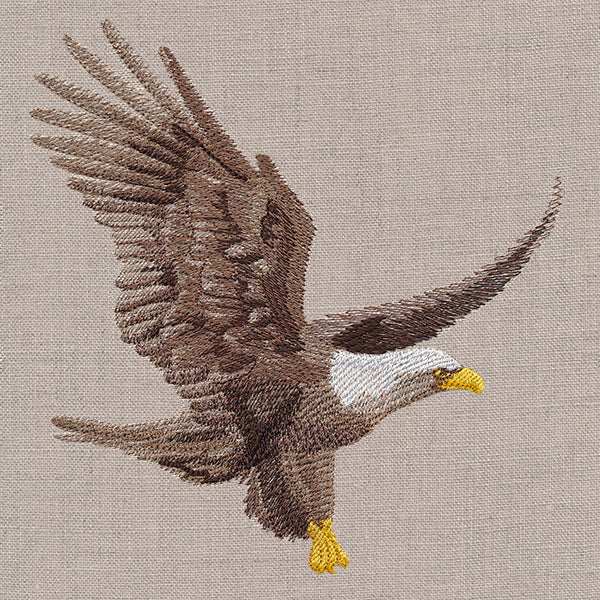 Regal Soaring Eagle - Image 5