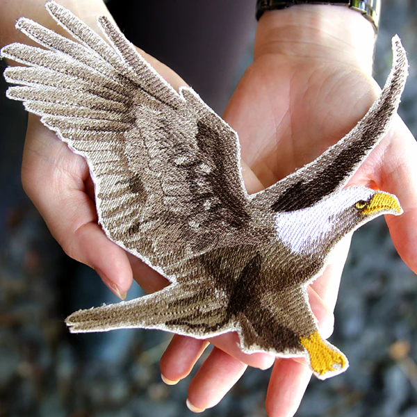 Regal Soaring Eagle - Image 6