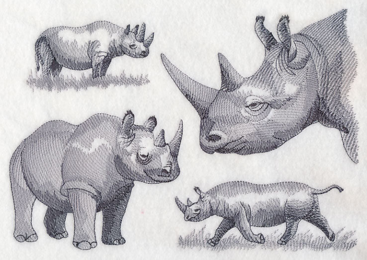 Rhinoceros Sketch - Image 5