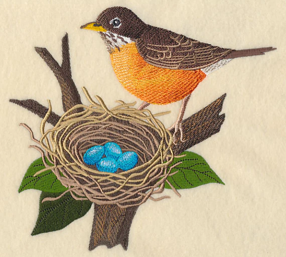 Robin and Nest - Image 4