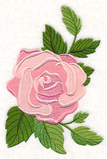 Rose Bloom - Image 2