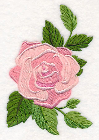 Rose Bloom - Image 3
