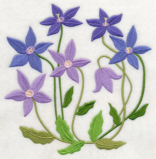 Royal Bluebell - Image 2