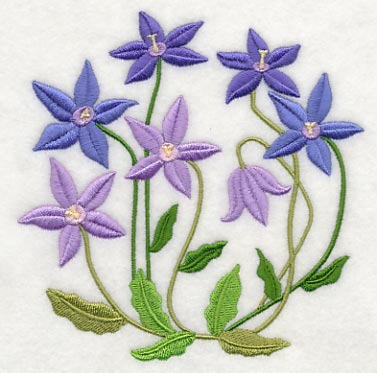 Royal Bluebell - Image 4