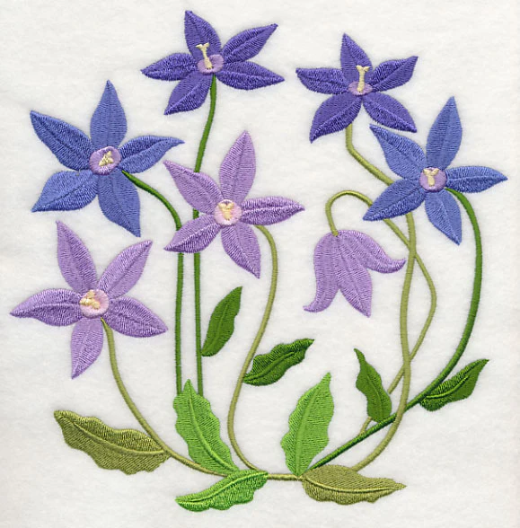 Royal Bluebell - Image 6