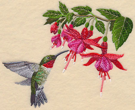 Ruby-Throated Hummingbird and Fuchsia - Image 3