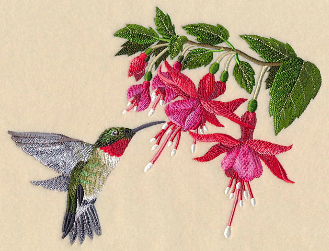 Ruby-Throated Hummingbird and Fuchsia - Image 4