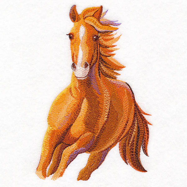 Run Wild Stallion - Image 10