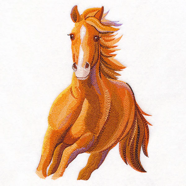 Run Wild Stallion - Image 4