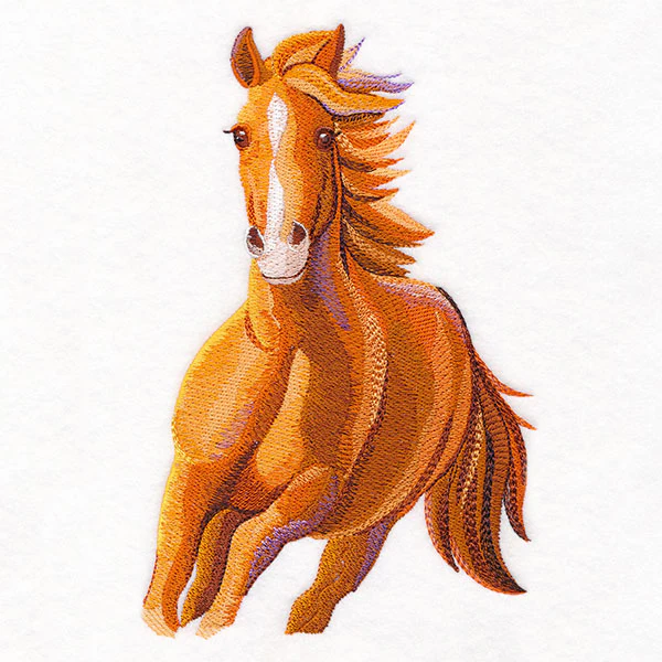 Run Wild Stallion - Image 7