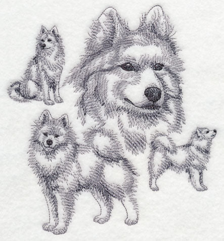 Samoyed Sketch - Image 2