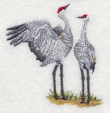 Sandhill Crane Pair - Image 2