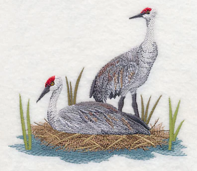 Sandhill Cranes on Shore - Image 3