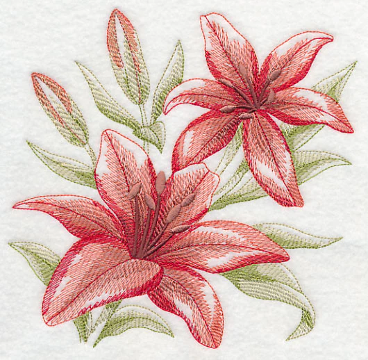 Scarlet Lilies Sketch - Image 2