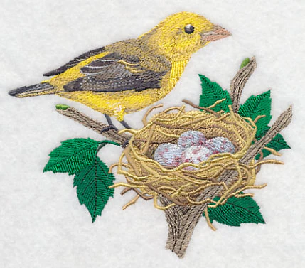 Scarlet Tanager and Nest - Image 3