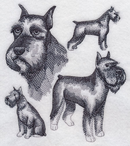 Schnauzer Sketch (Docked Tail and Cropped Ears) - Image 3