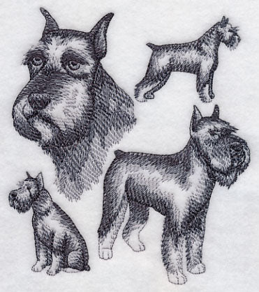 Schnauzer Sketch (Docked Tail and Cropped Ears) - Image 4