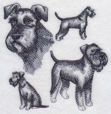 Schnauzer Sketch (Full Tail and Ears) - Image 4