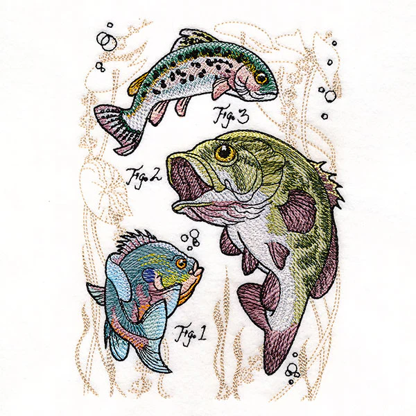 Scientific Fish Medley - Image 3