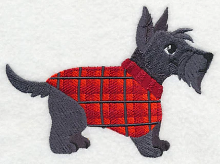 Scottie in Sweater - Image 3
