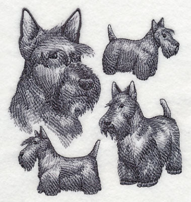 Scottish Terrier Sketch - Image 3