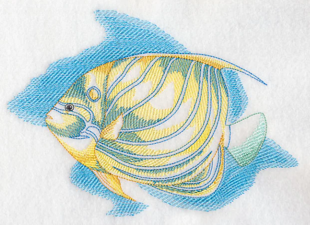 Sea Life Splash - Blue Ring Angelfish - Image 2