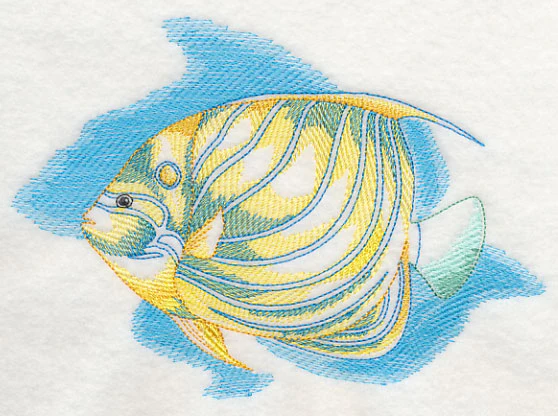 Sea Life Splash - Blue Ring Angelfish - Image 3