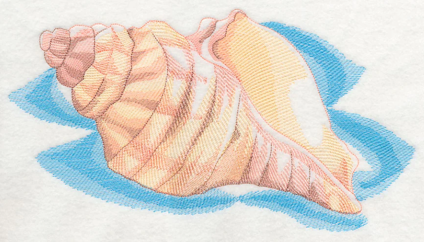 Sea Life Splash - Sea Shell 1