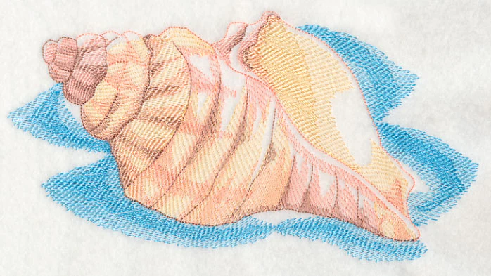Sea Life Splash - Sea Shell 1 - Image 2