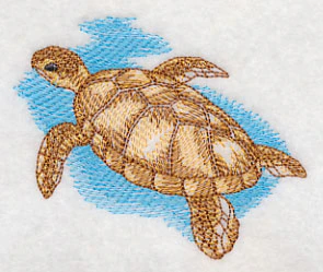 Sea Life Splash - Sea Turtle - Image 4