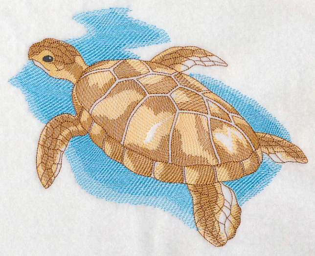 Sea Life Splash - Sea Turtle - Image 5
