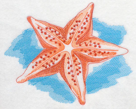 Sea Life Splash - Starfish - Image 2
