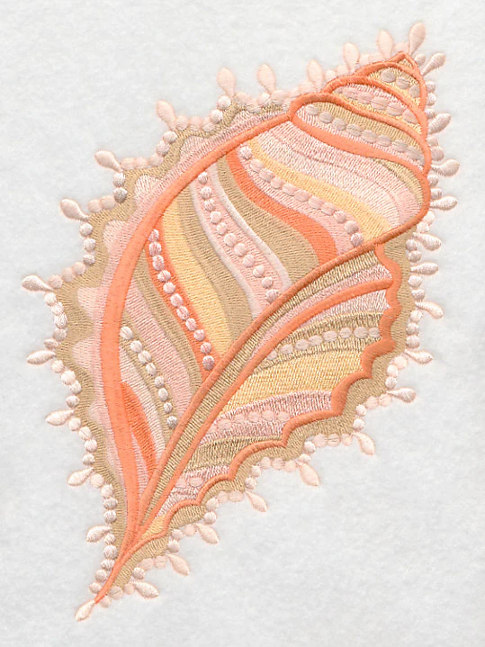 Seadreams Seashell