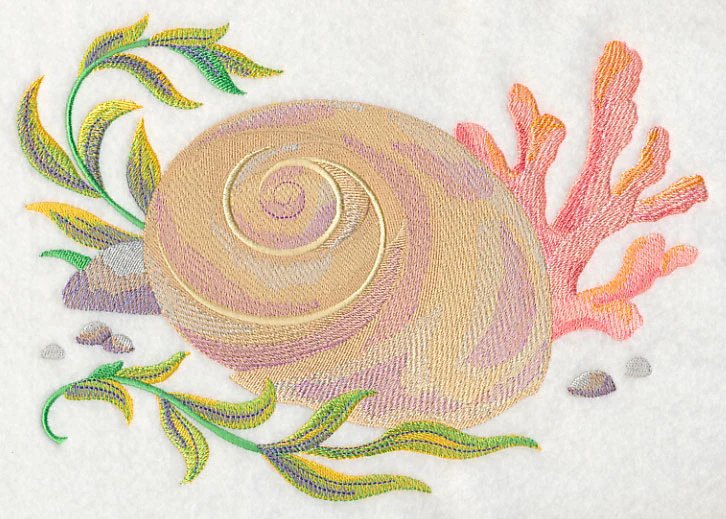 Seashell 2 in Watercolor - Image 4