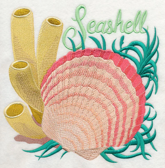 Seashell on the Shore - Image 5
