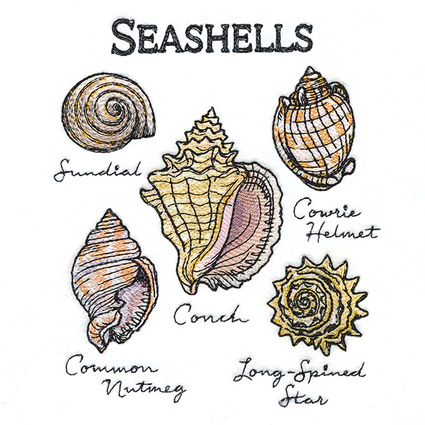 Seashells By The Seashore Chart - Image 3