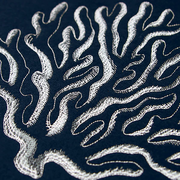 Seaside Etchings - Coral - Image 6