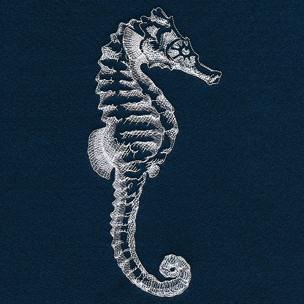 Seaside Etchings - Seahorse - Image 3
