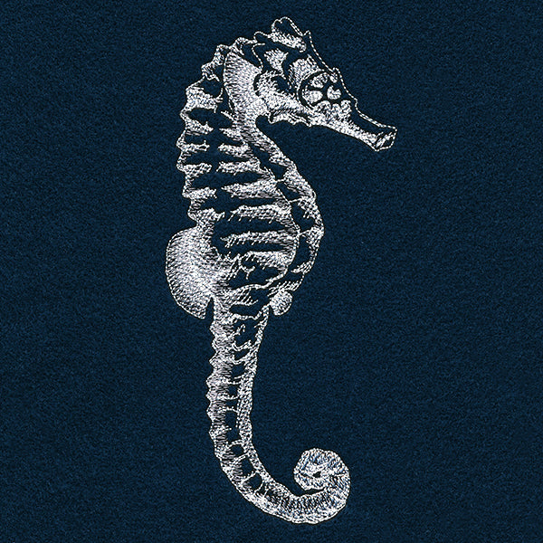 Seaside Etchings - Seahorse - Image 7