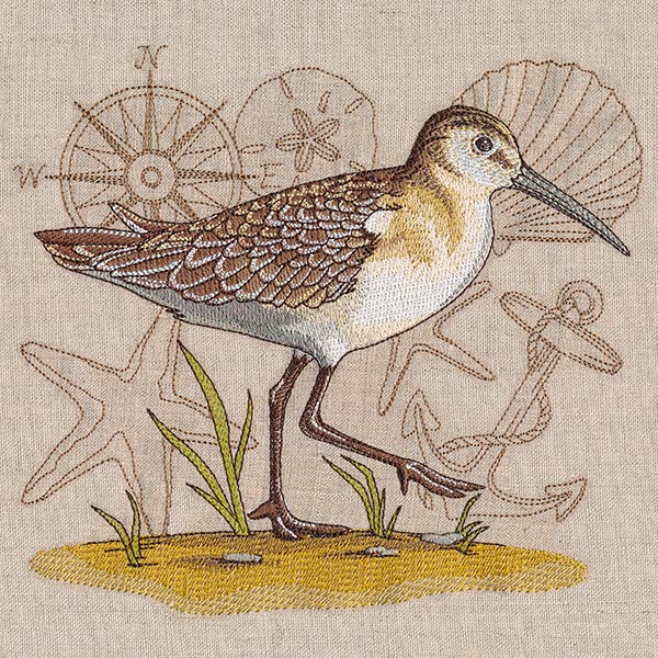 Seaside Sandpiper Medley - Image 4