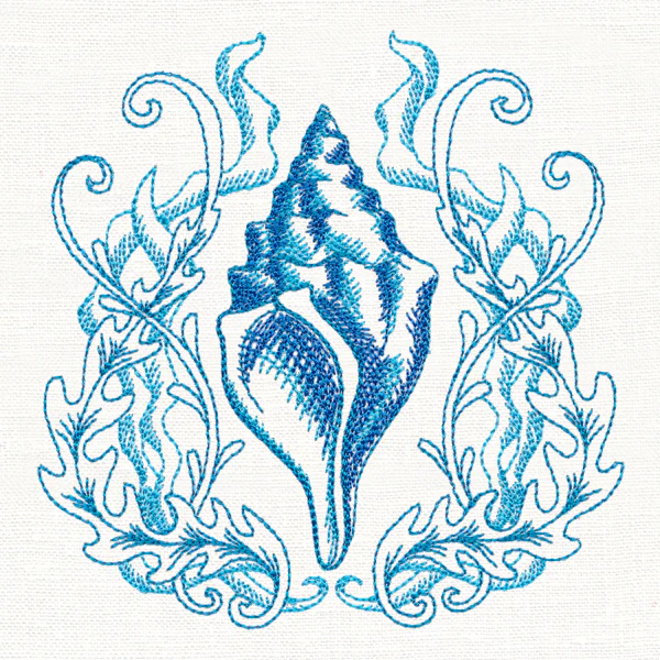 Seaside Shell Etching - Image 7